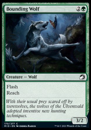 Bounding Wolf (Innistrad: Midnight Hunt) Trading Card