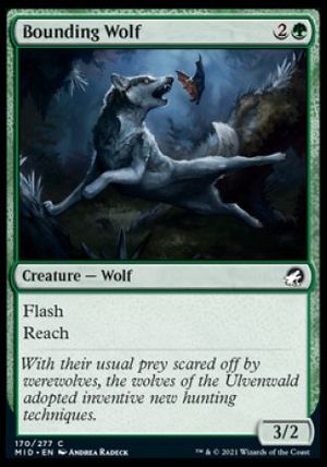 Bounding Wolf (Innistrad: Midnight Hunt)