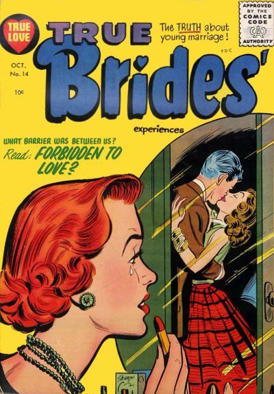 True Brides' Experiences #14 Comic