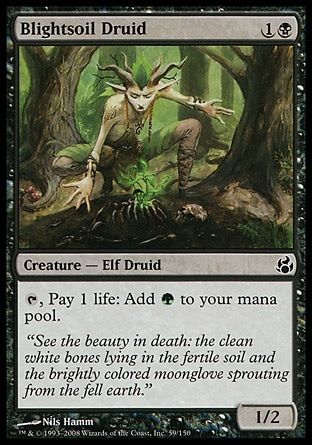 Blightsoil Druid (Morningtide) Trading Card