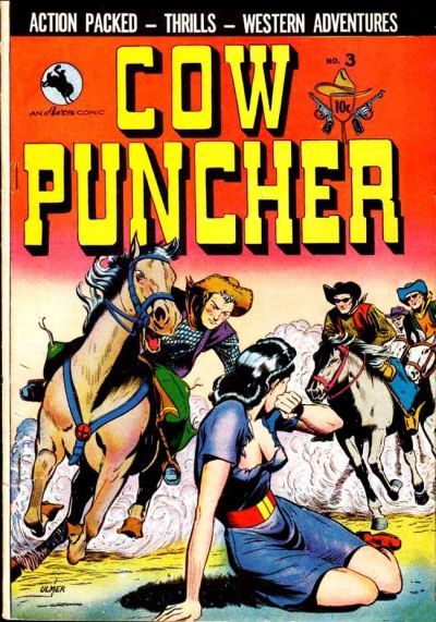 Cow Puncher Comics #3 Comic