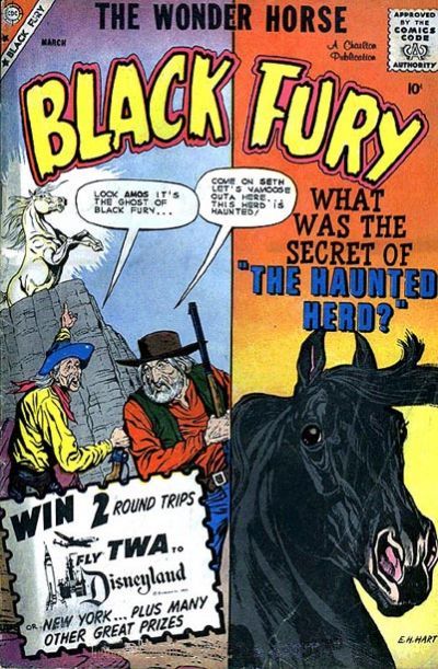 Black Fury #23 Comic