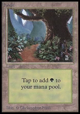 Forest (Beta) (Path) Trading Card