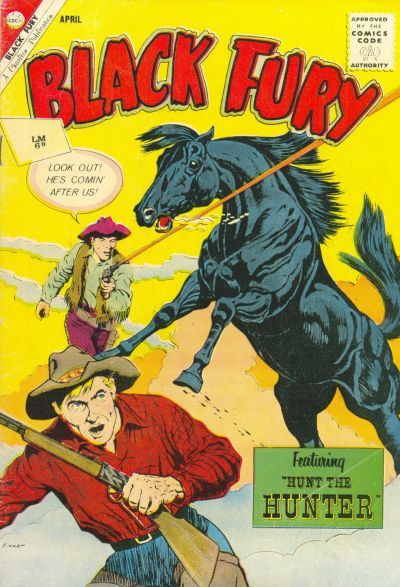 Black Fury #35 Comic