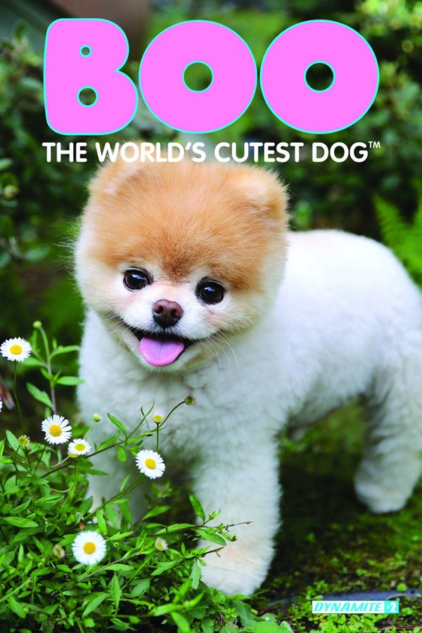Boo Worlds Cutest Dog #2 (Cover D Photo Exclusive Subscription)