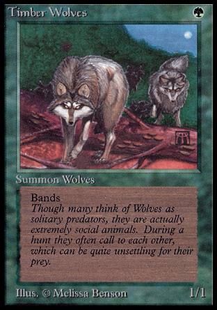 Timber Wolves (Alpha) Trading Card