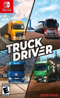Truck Driver Video Game