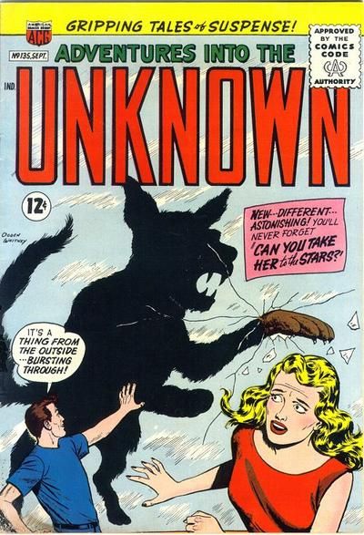 Adventures into the Unknown #135 Comic