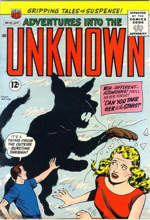 Adventures into the Unknown #135