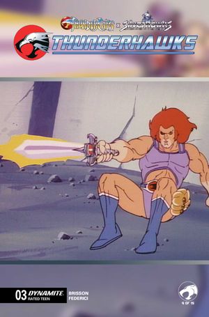 Thundercats X Silverhawks Thunderhawks #3 (Cvr E Animation Art Variant)