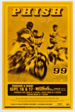 Goldenrod Yellow