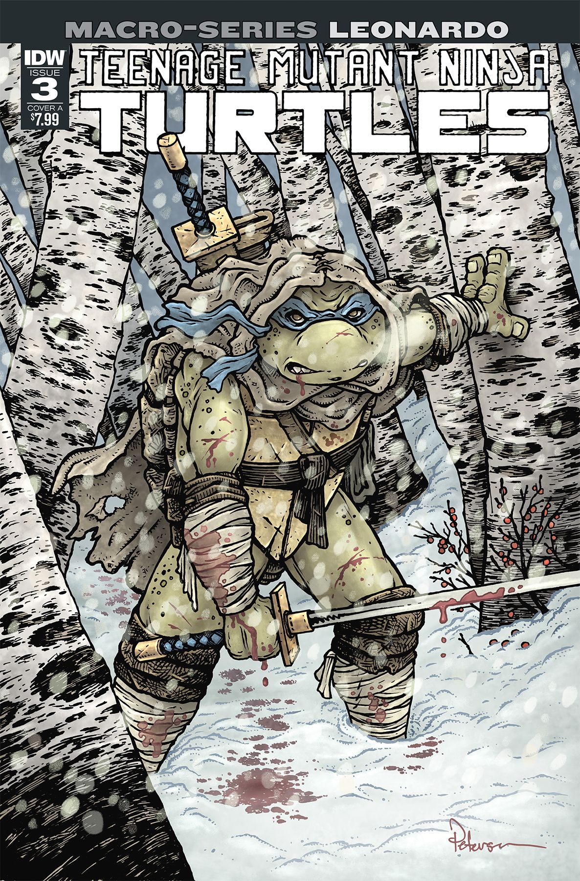 Teenage Mutant Ninja Turtles Macro-Series #3 Comic