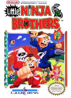 Little Ninja Brothers Video Game