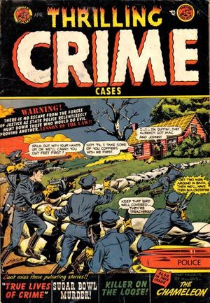 Thrilling Crime Cases #44