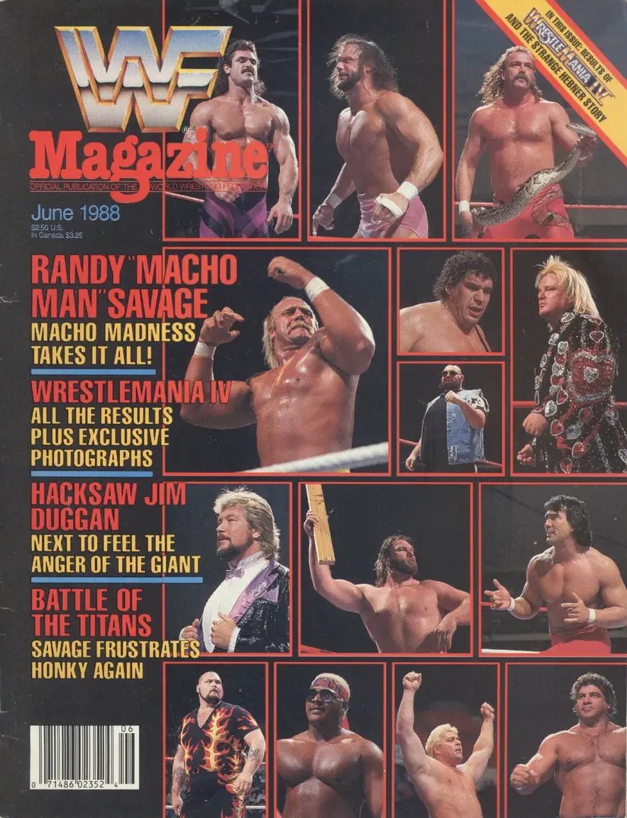 WWF magazine #v7 #6 Magazine