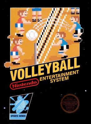 Volleyball Video Game