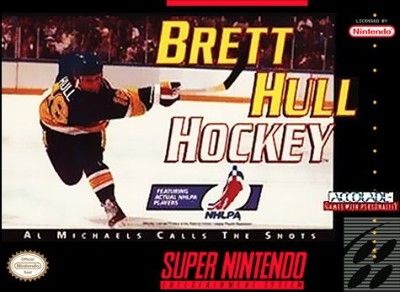 Brett Hull Hockey Video Game