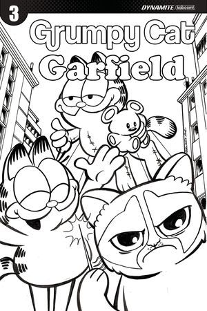 Grumpy Cat Garfield #3 (Cover G 30 Copy Ruiz B&w Cover)