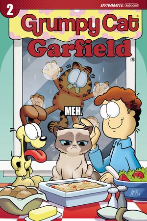 Grumpy Cat Garfield #2 (Cover D Fleecs)