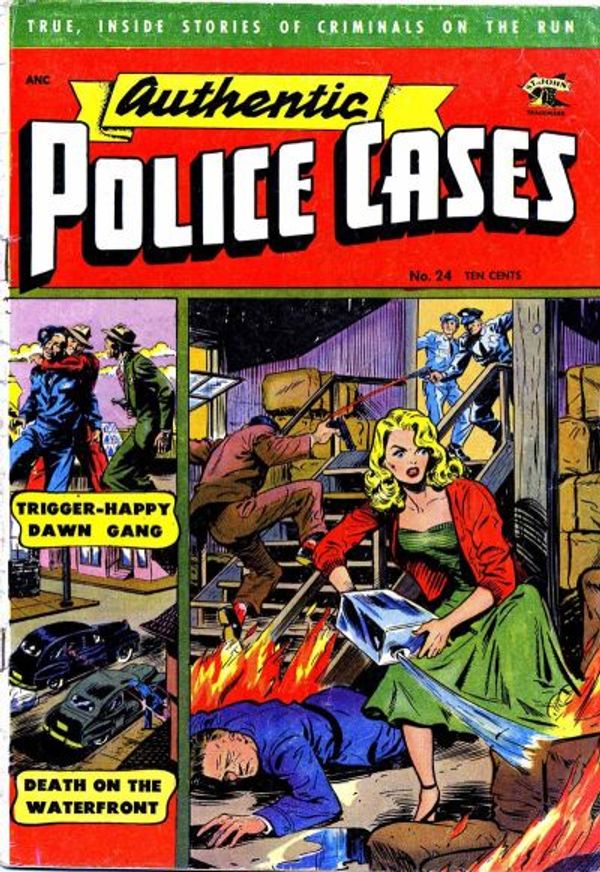 Authentic Police Cases #24