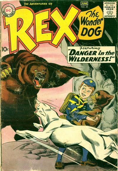 The Adventures of Rex the Wonder Dog #45 Comic