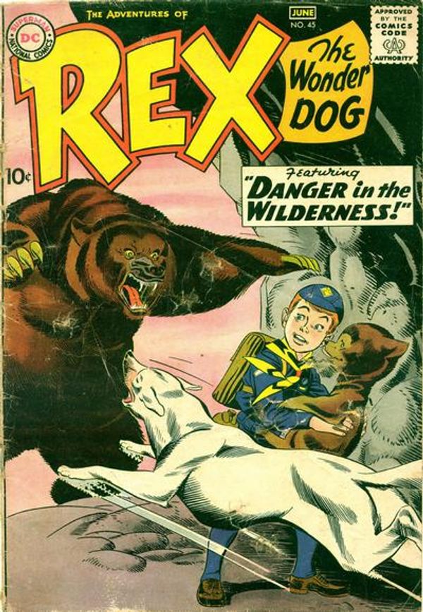The Adventures of Rex the Wonder Dog #45