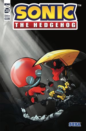 Sonic The Hedgehog #30 (Cover B Skelly)