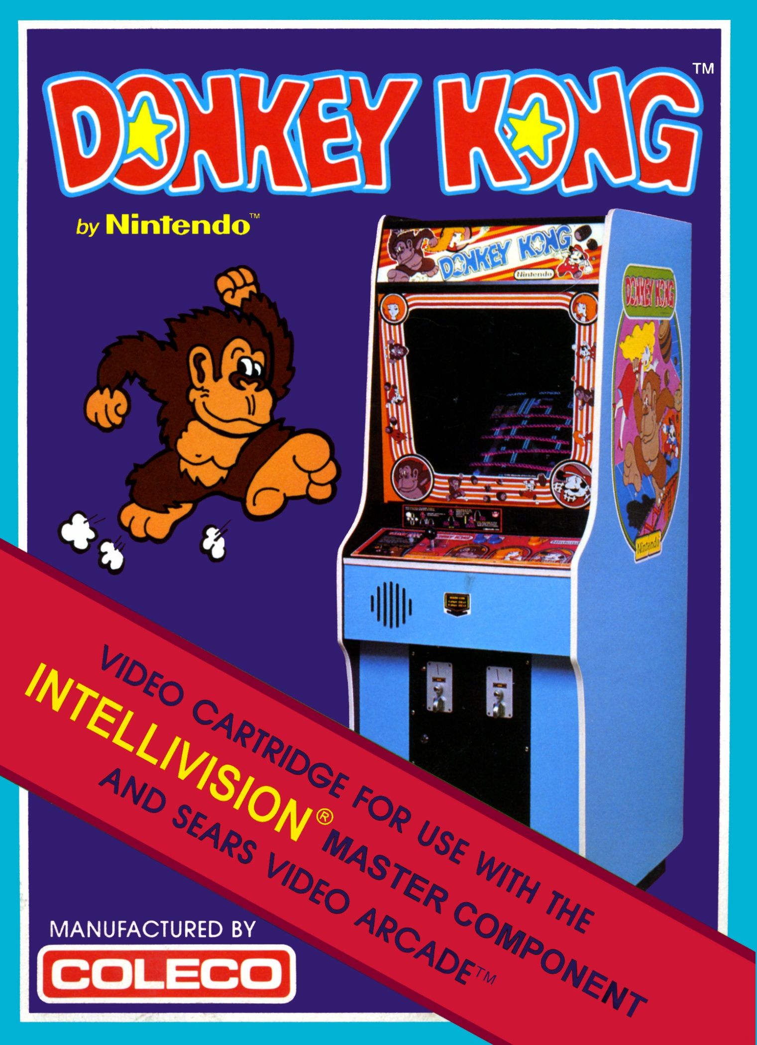 Donkey Kong Video Game