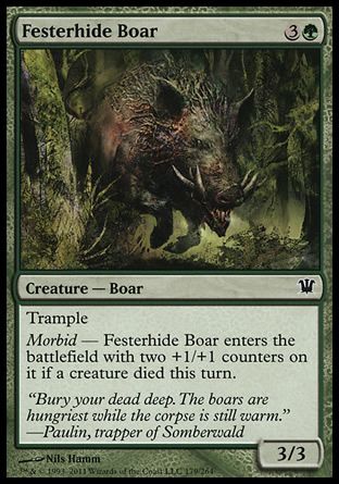 Festerhide Boar (Innistrad) Trading Card