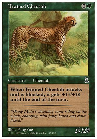 Trained Cheetah (Portal Three Kingdoms) Trading Card