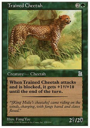 Trained Cheetah (Portal Three Kingdoms)