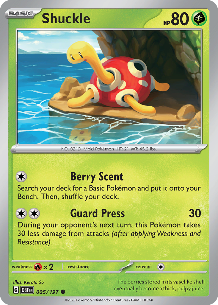 Shuckle (5/197) - Obsidian Flames Pokémon Card