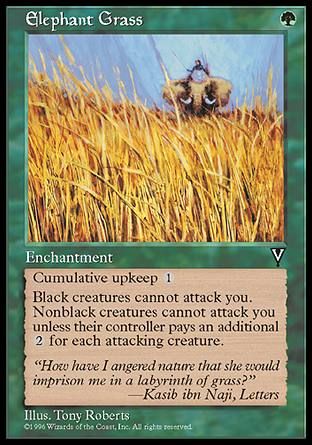 Elephant Grass (Visions) Trading Card