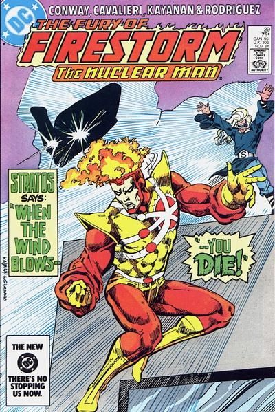 Fury of Firestorm #29 Comic