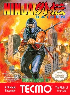 Ninja Gaiden Video Game