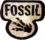 Fossil (1st Edition)