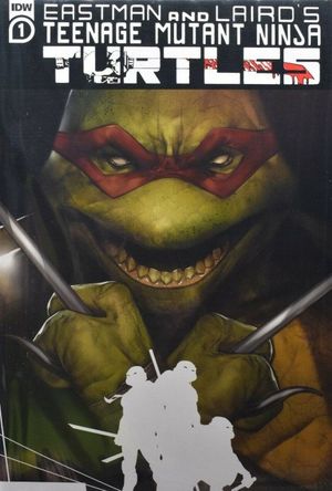 Teenage Mutant Ninja Turtles #1 (Oliver Mystery Box Edition)