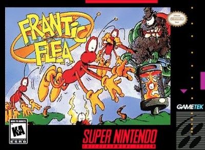 Frantic Flea Video Game