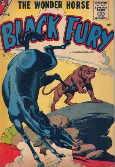 Black Fury #8 Comic
