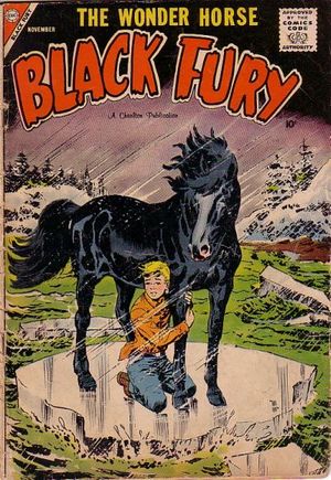 Black Fury #16
