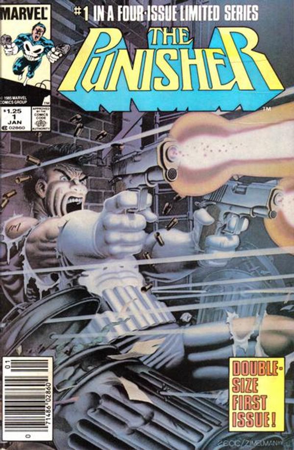 The Punisher #1 (Newsstand Edition)