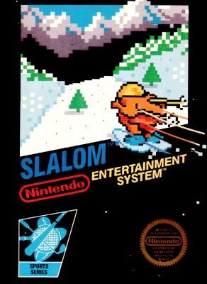 Slalom Video Game