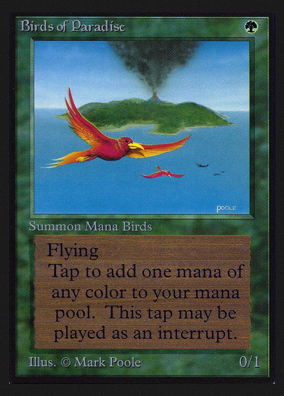 Birds of Paradise (Collector's Edition) Trading Card