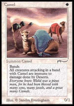 Camel (Arabian Nights)