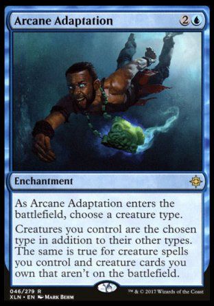 Arcane Adaptation (Ixalan) Trading Card