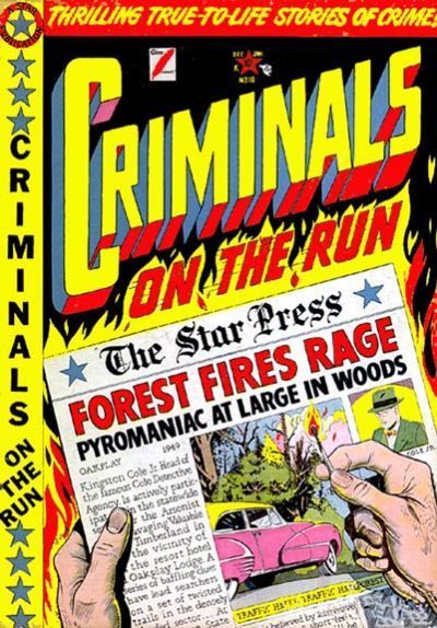 Criminals on the Run #10 Comic