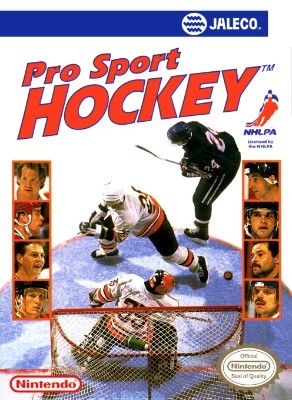 Pro Sport Hockey Video Game