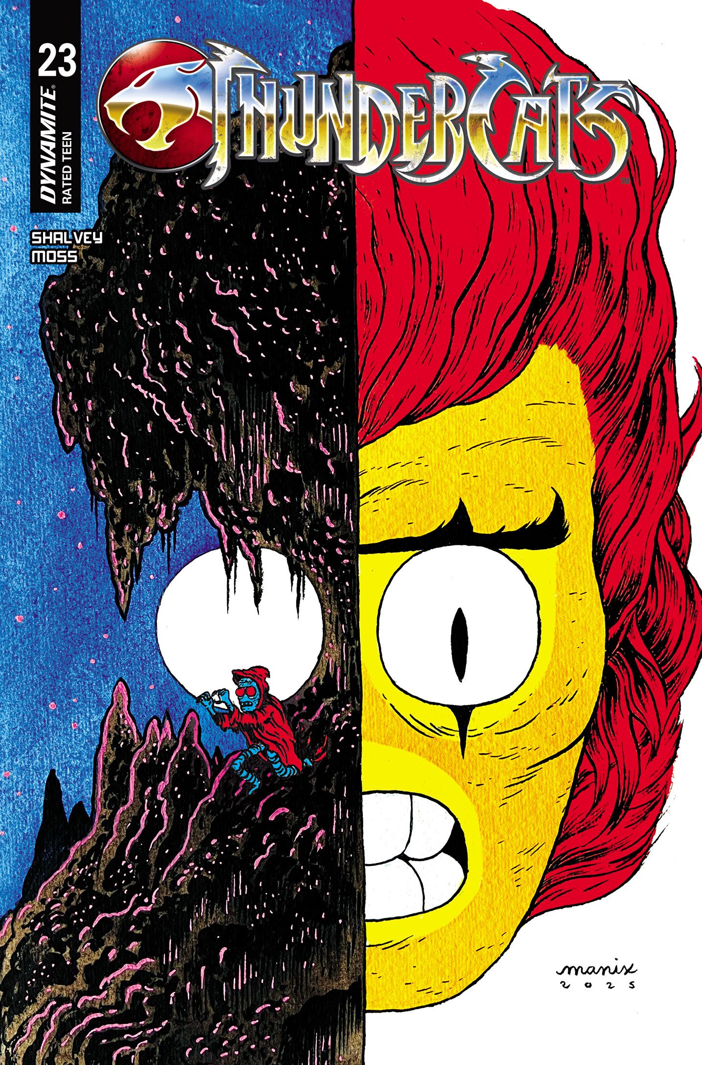 Thundercats #23 (Cvr E Manix Variant) Comic