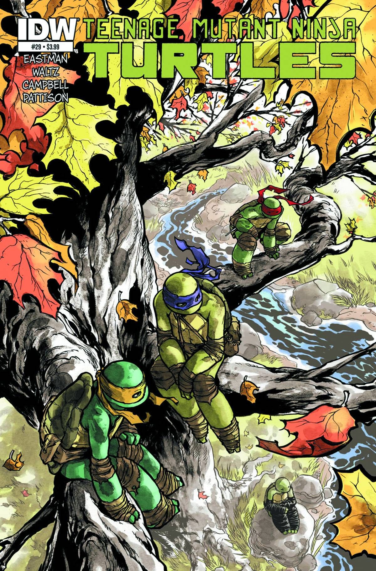 Teenage Mutant Ninja Turtles #29 Comic