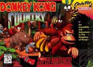 Donkey Kong Country